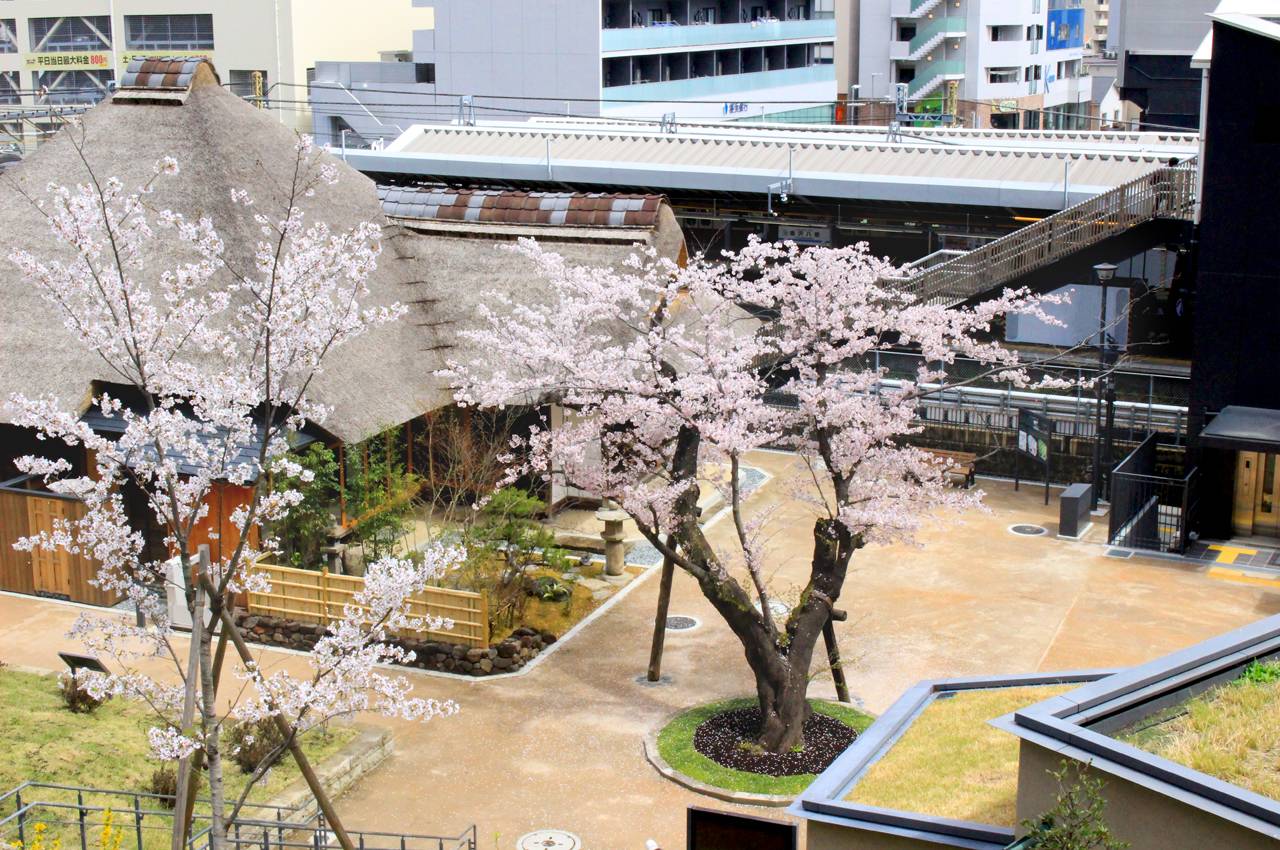 gongen_hiroba_2.jpg