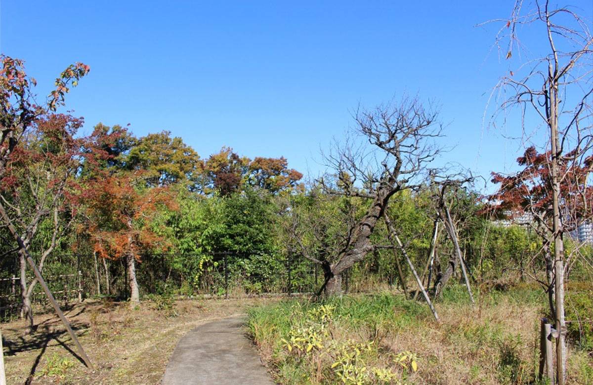 gongenyama-stroll_03.jpg