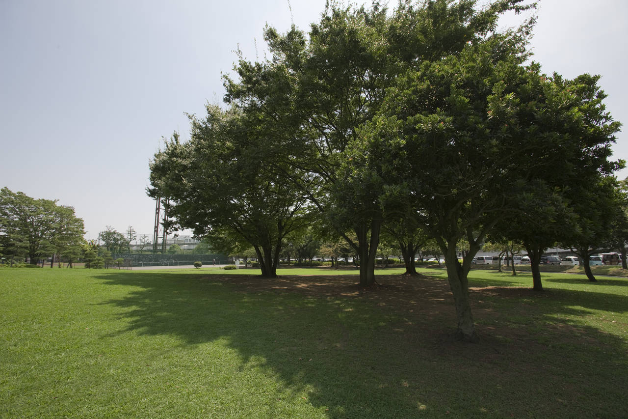 
本牧市民・臨海公園の写真