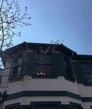  山手イタリア山庭園　桜の開花情報　3/28