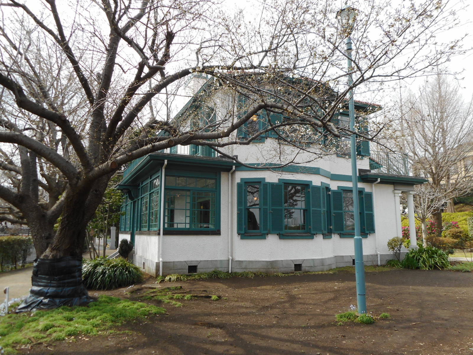   山手イタリア山庭園　桜の開花情報　【４月4日版】の写真