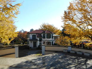 イタリア山庭園の秋