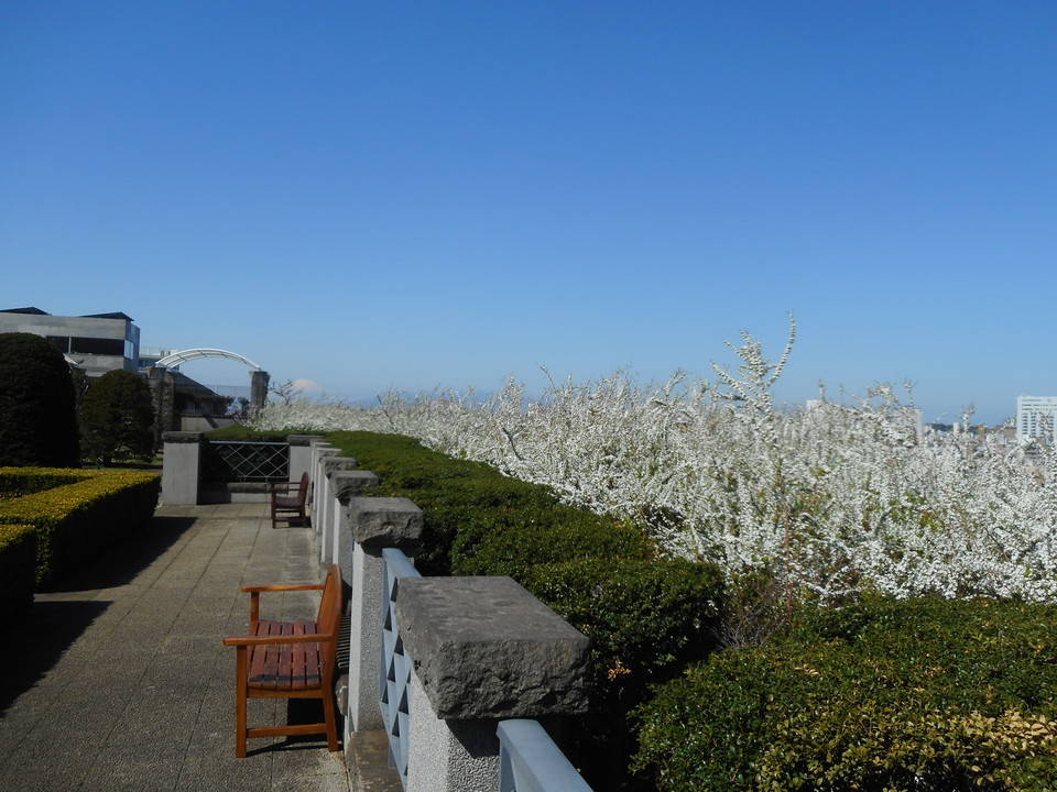 イタリア山庭園の春の写真