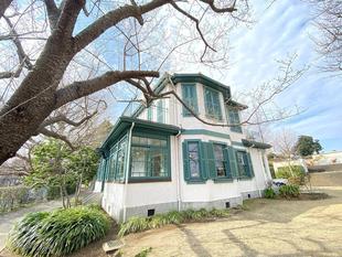 山手イタリア山庭園桜開花情報【3/16】