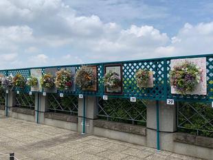 ガーデンネックレス横浜2022 「街を彩るハンギングバスケットコンテスト」