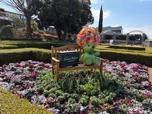 山手イタリア山庭園　整形花壇にガーデンベア登場‼