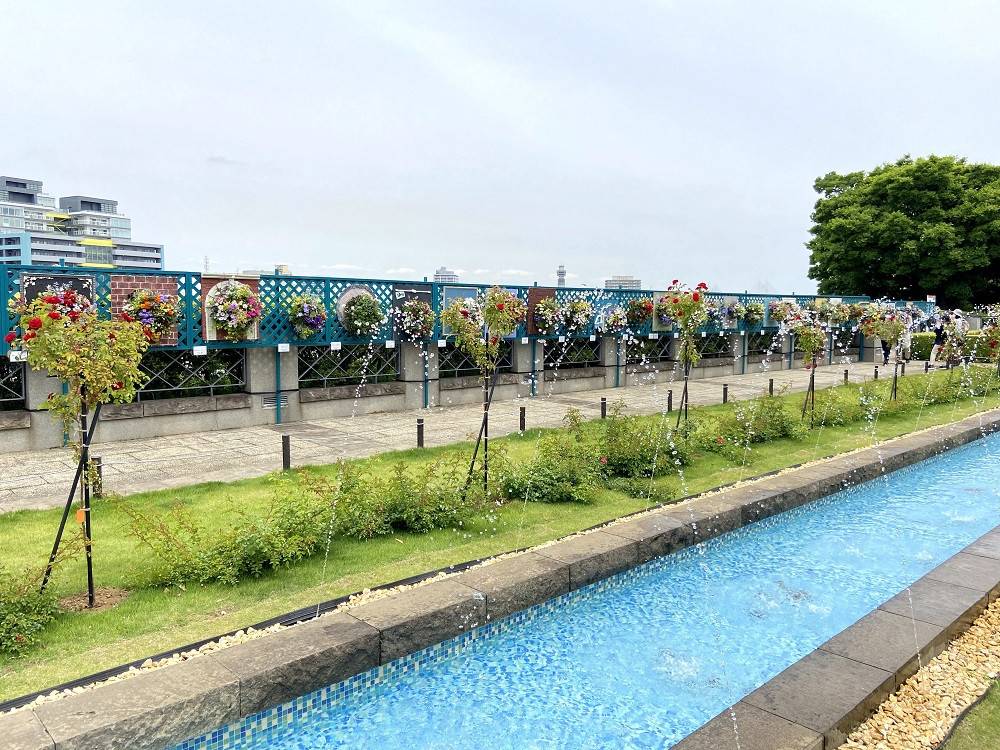 ハンギングバスケットコンテスト ブログ 山手イタリア山庭園公式サイト 公益財団法人 横浜市緑の協会 ハンギングバスケットコンテスト ブログ 山手イタリア山庭園公式サイト 公益財団法人 横浜市緑の協会