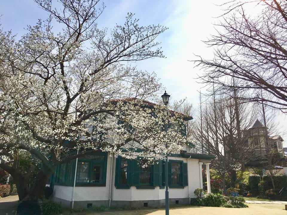 2019.3.27 (14) 縮小.jpg