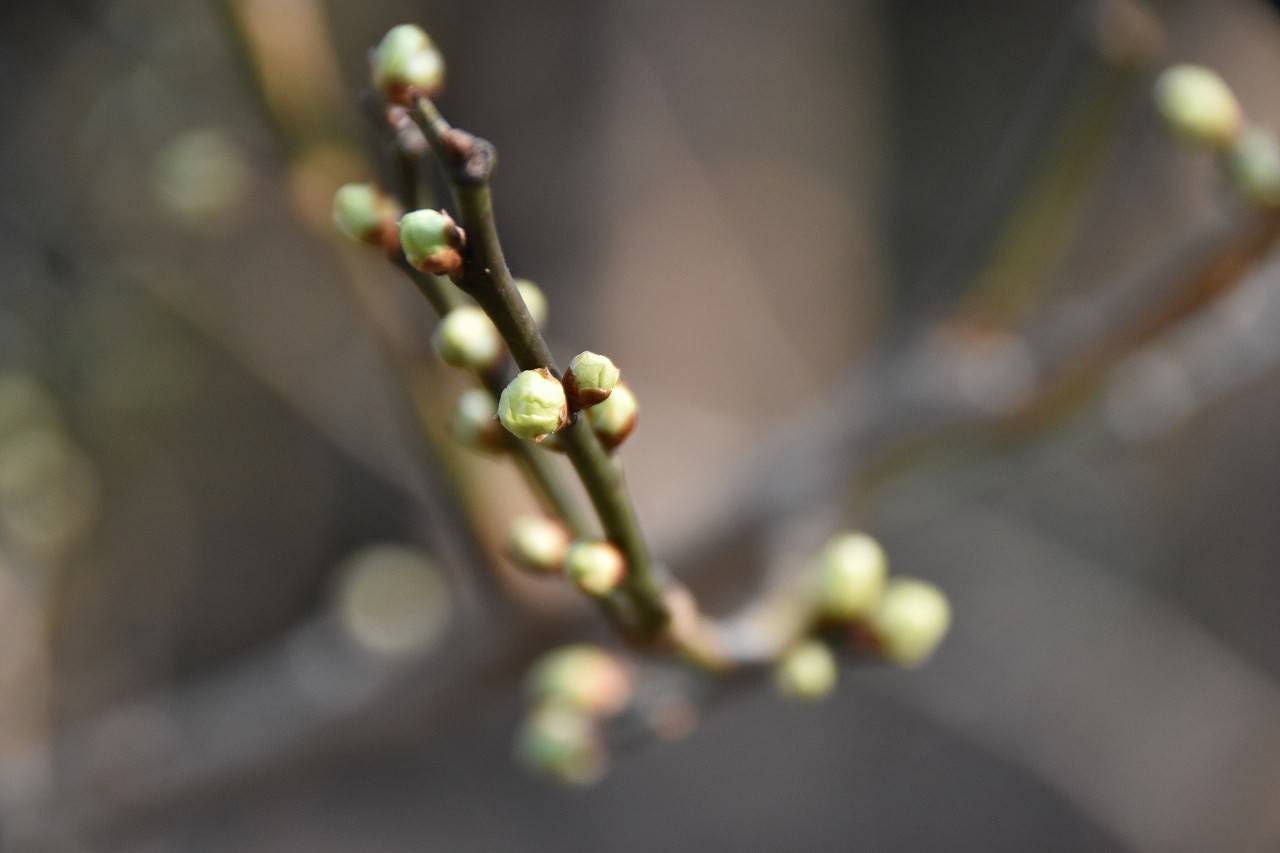 DSC_0716.jpg