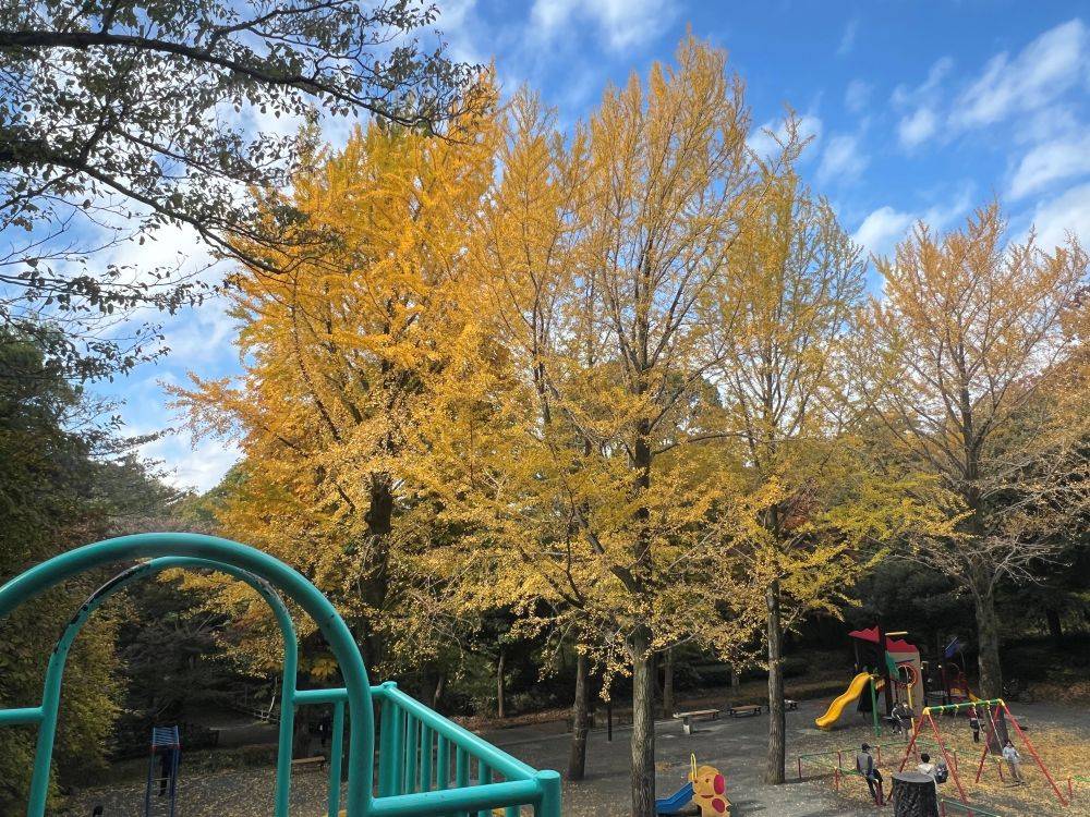 遊具広場上から.jpg