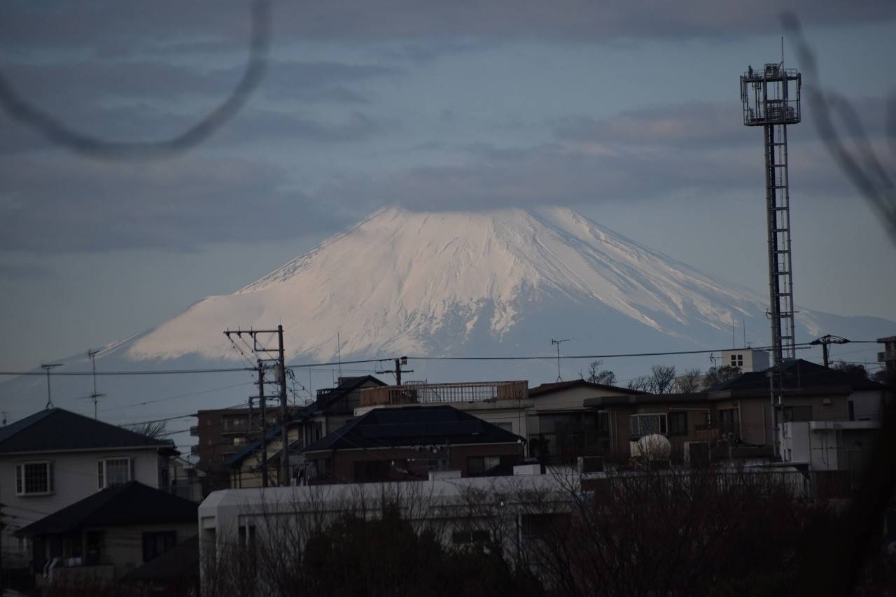 DSC_0683.jpg