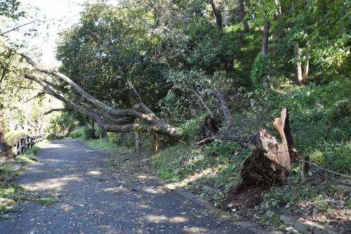 児童遊園地 (4).jpg