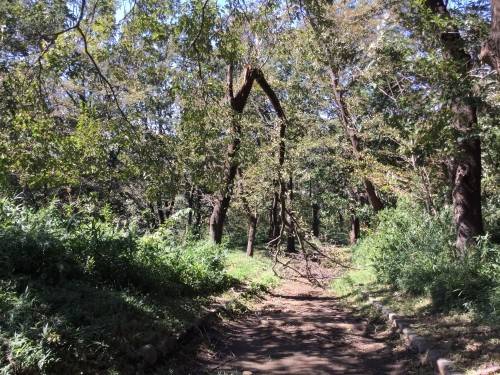 児童遊園地 (1).jpg