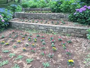 夏花壇 完成！！