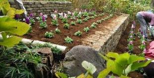 春花壇に変身！