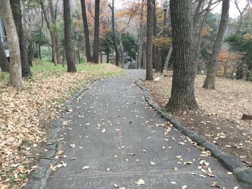 冬の草刈りの写真
