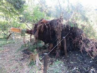 台風15号の被害状況