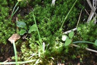 雨上がりの公園で・・・