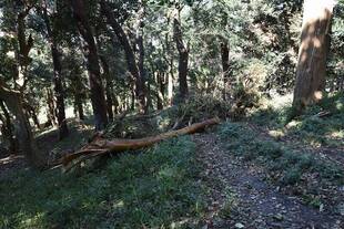 台風19号の被害状況