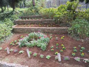 春花壇が完成しました！！