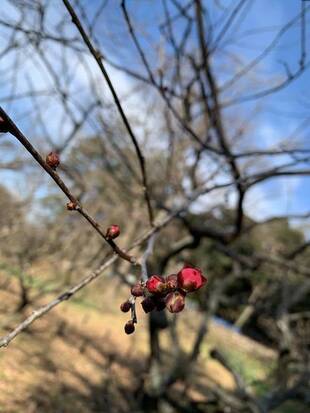 あけましておめでとうございます