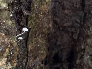 梅雨が明けません・・・