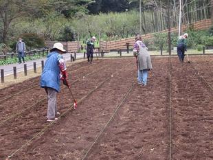 ボランティアさん、活躍中です