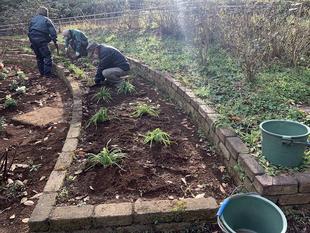 冬花壇完成です✿