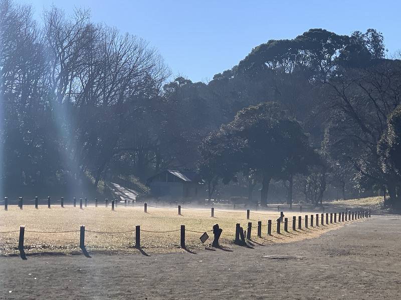 冬の朝の写真