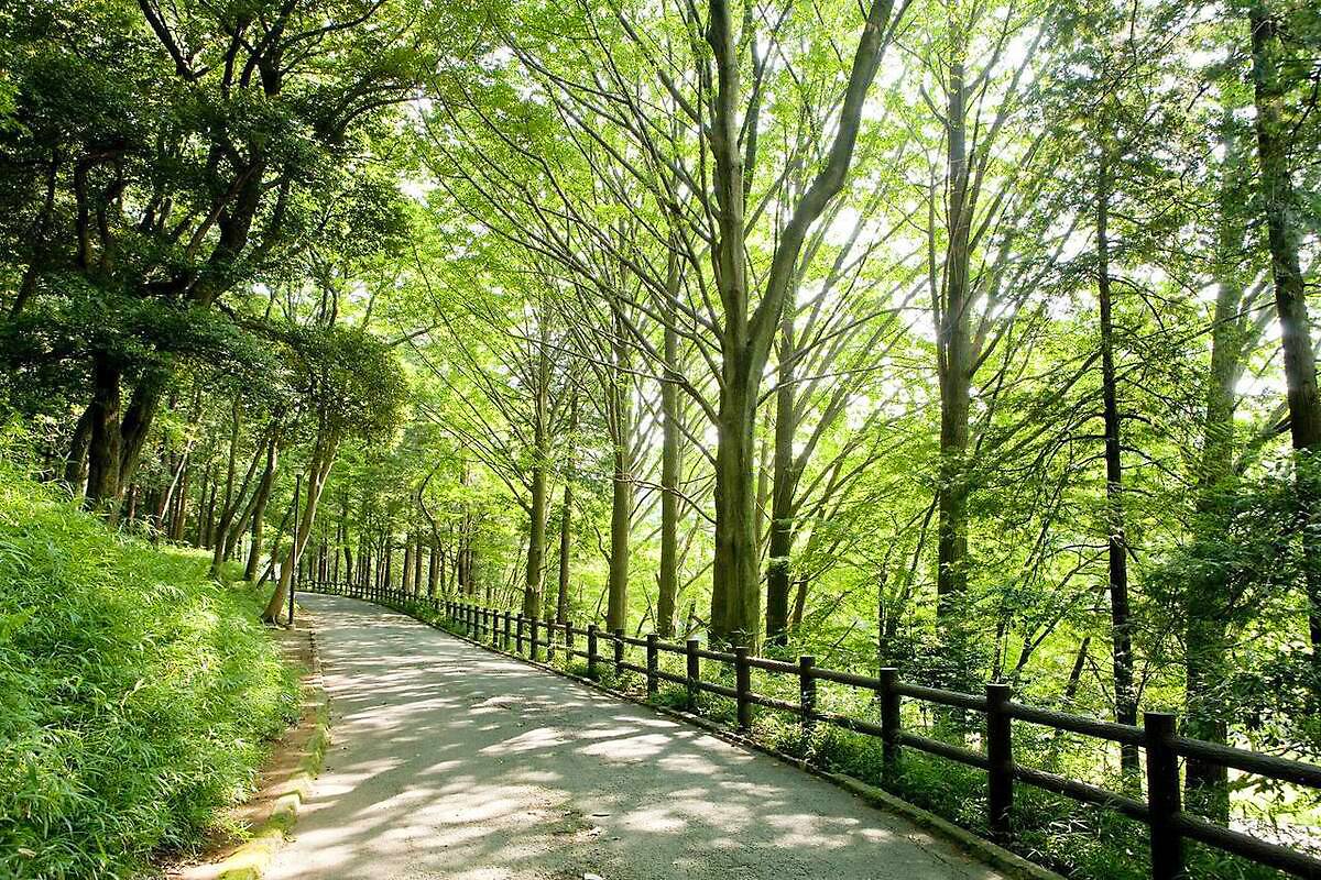 横浜市児童遊園地公式サイト 公益財団法人 横浜市緑の協会
