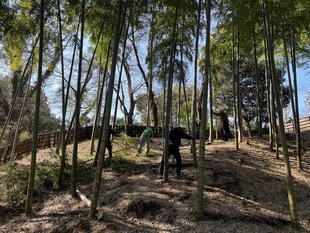 竹林のボランティア活動