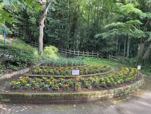 夏の花壇になりました