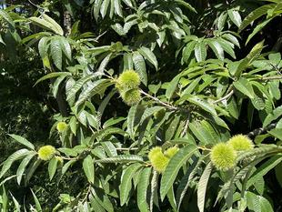 台風の合間に。