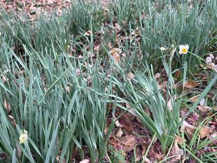 令和6年のおわりに