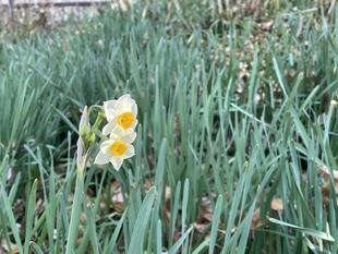 明けましておめでとうございます。