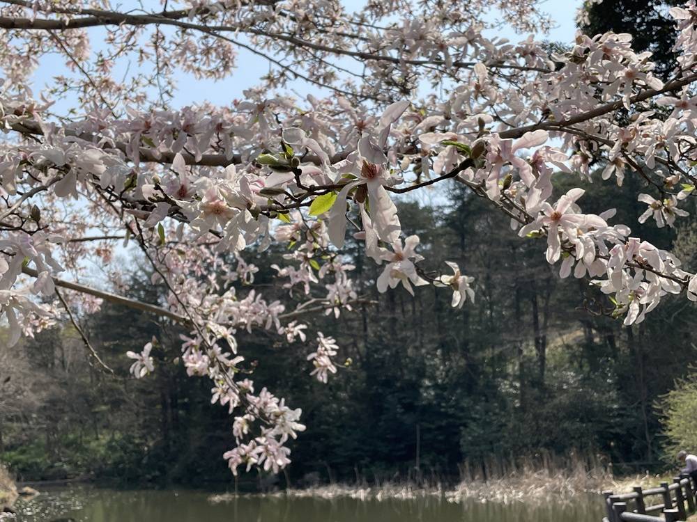 ピンクの児童遊園地の写真