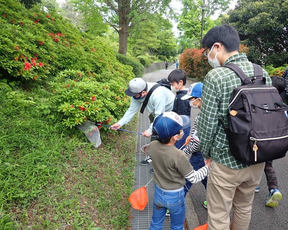 春のトンボ観察会の写真