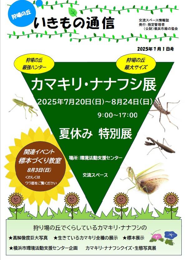 「カマキリ・ナナフシ展」開催中のお知らせの写真