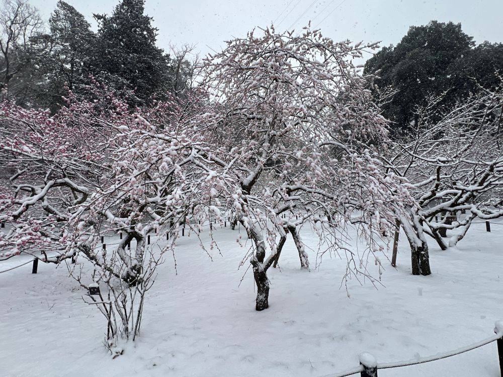 雪景色の児童遊園地の写真