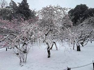 雪景色の児童遊園地