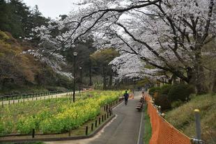 児童遊園地の中を歩こう！