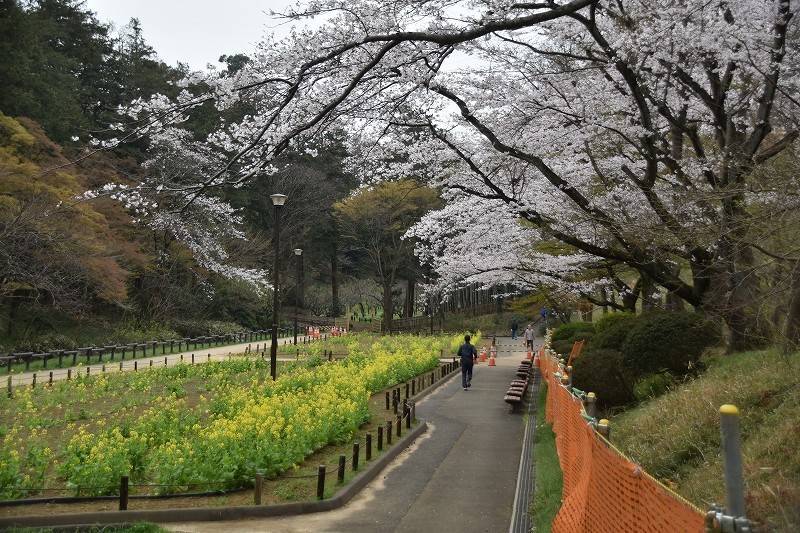 児童遊園地の中を歩こう！の写真