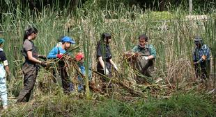 小川のいきもの復活大作戦