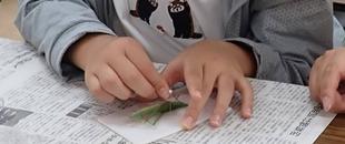 【夏休み特別展】標本づくり教室