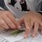 【夏休み特別展】標本づくり教室の画像