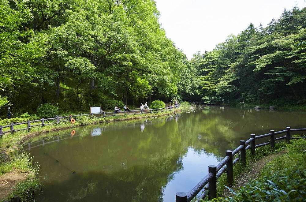 横浜市児童遊園地_池.jpg