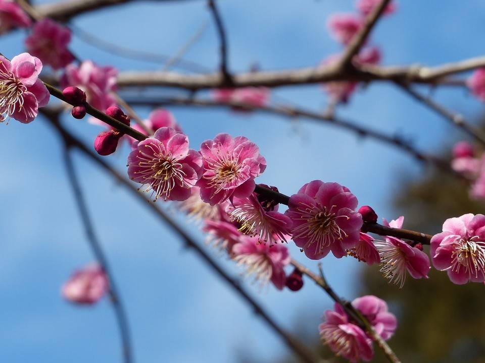 P1410436.jpg