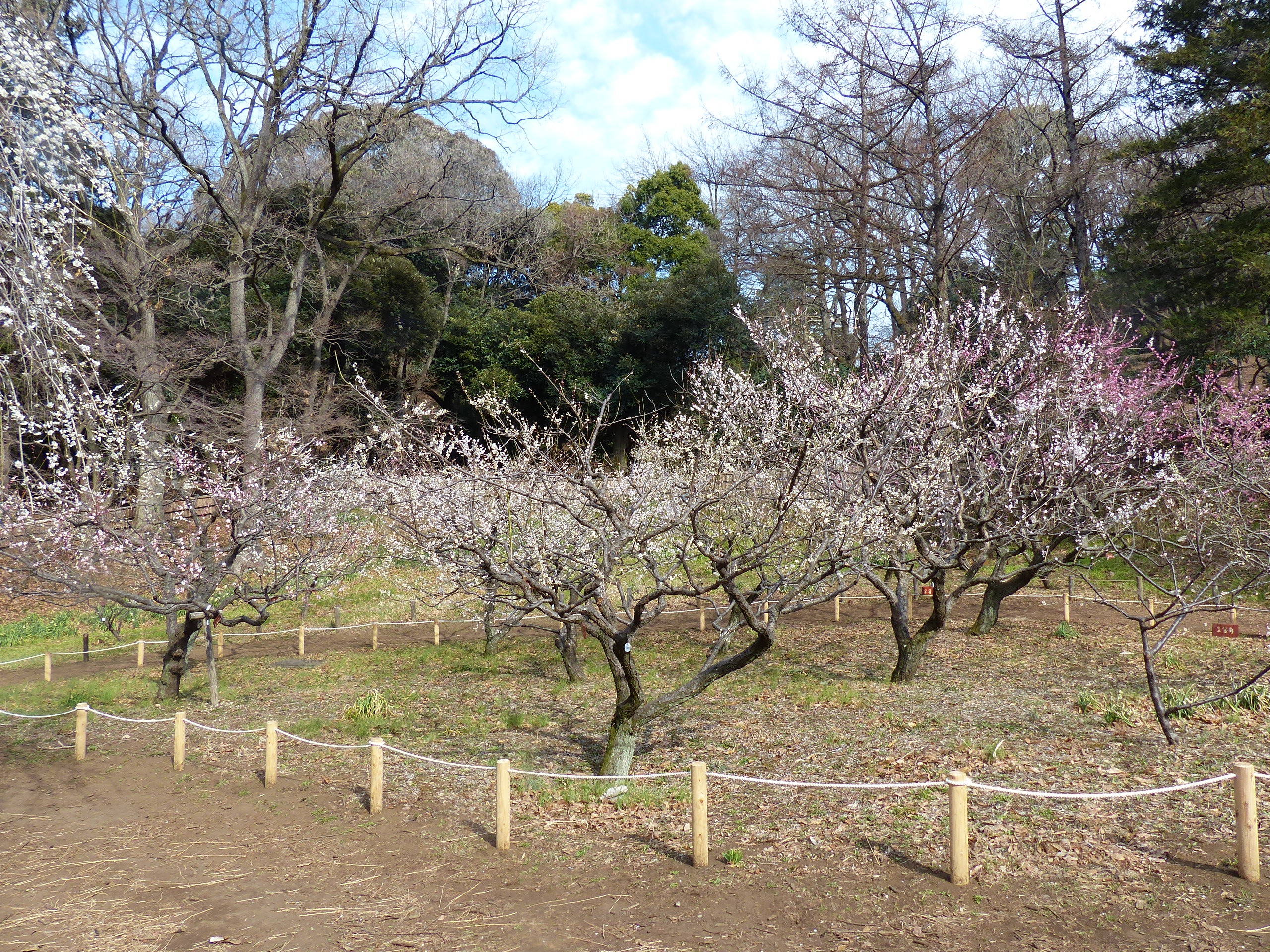 P1410445.jpg