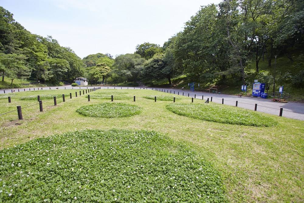 自由広場.jpg