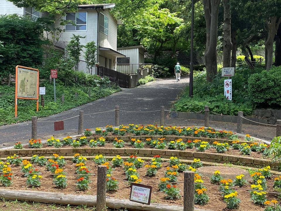 IMG_0391 - コピー.jpg